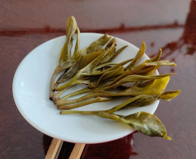 普洱茶批发：趋势解读与未来展望